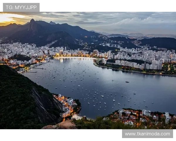 2024年世界杯巴西赔率走势全景解析帮助玩家把握最佳投注时机 2024年世界杯巴西赔率走势全景解析帮助玩家把握最佳投注时机